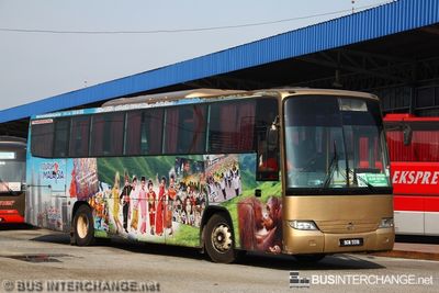 Transnasional