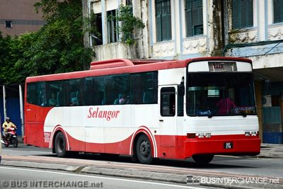 Bus 141 - Selangor Omnibus (BGY2718)