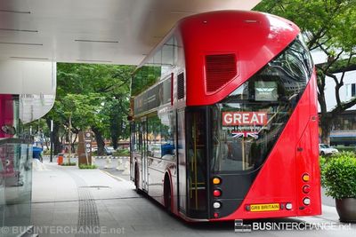 Bus LT1 - Special (LT61 AHT)