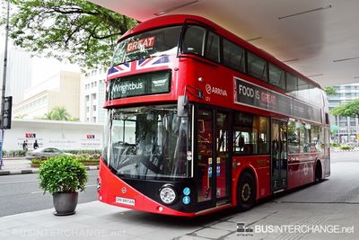 Bus LT1 - Special (LT61 AHT)