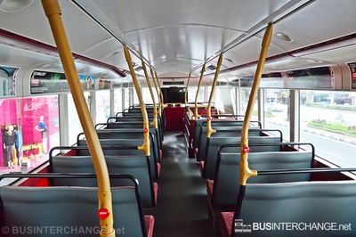 Bus LT1 - Special (LT61 AHT)