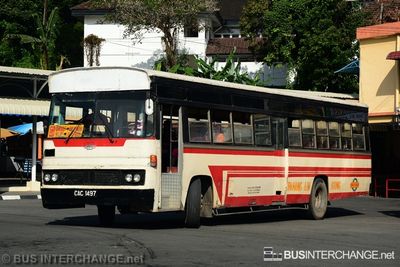 Bus 524 - Pahang Lin Siong (CAC1497)