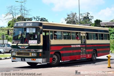 Bus 79 - Yow Hoe Bus (CAF7093)