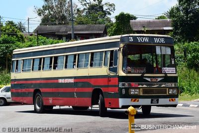 Bus 79 - Yow Hoe Bus (CAF7093)