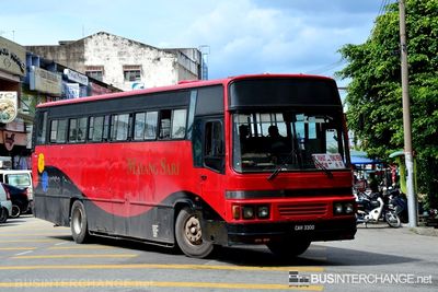 CAH3300 - Mayang Sari