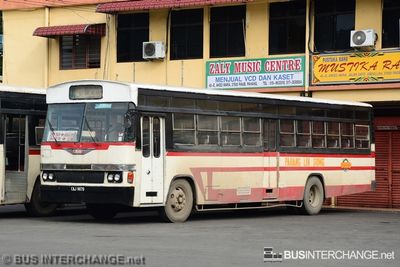 Bus 523 - Pahang Lin Siong (CAJ8879)