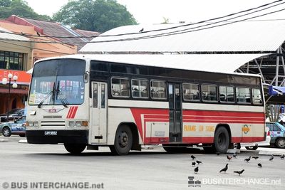 Bus 523 - Pahang Lin Siong (CAM9892)