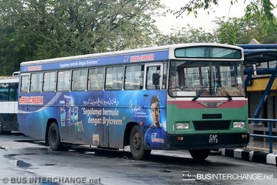 CAP1772 - Seng Heng Bus