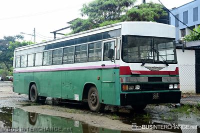 CAS3017 - Seng Heng Bus