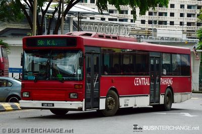 Bus 508 - Central Pahang MAN 18.250 / SL252 (A64) (CBD5010)