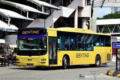 CBY3635 - Genting Scania K270UB