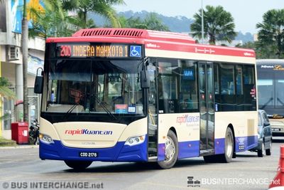 CDD2176 · 200