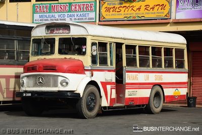 Bus 528 - Pahang Lin Siong (CW3088)