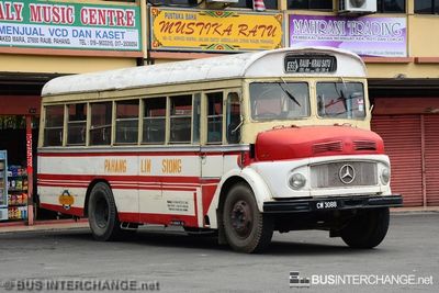 Bus 528 - Pahang Lin Siong (CW3088)