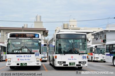 Consecutive Registration Numbers - Other Japan Buses