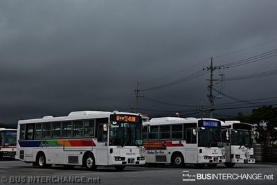 Buses Under Dark Sky - Other Japan Buses