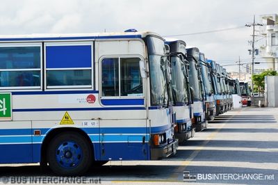Bus Parking Area - Other Japan Buses