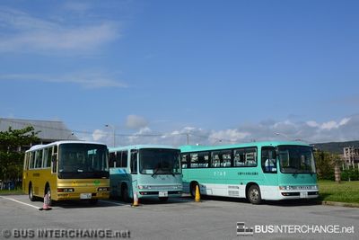 Midi School Buses - Other Japan Buses