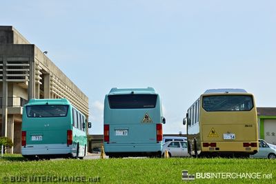 Midi School Buses - Other Japan Buses