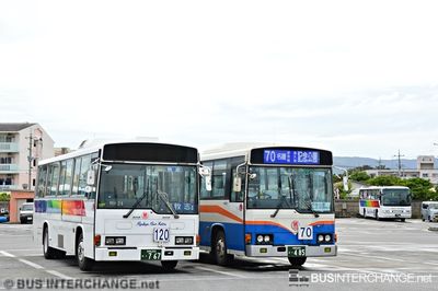 Different Livery - Other Japan Buses