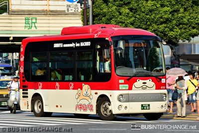 ? - Hachiko Bus Hino Poncho