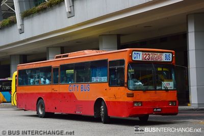 Bus 123 - Transit Link JB Mercedes-Benz OH1318 (JEL4462)