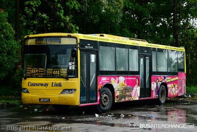 Bus 666 - Causeway Link Mercedes-Benz CBC1725 (JHQ4473)