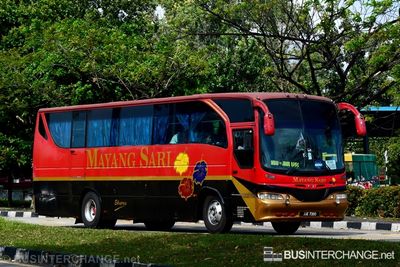 JJE7300 - Mayang Sari