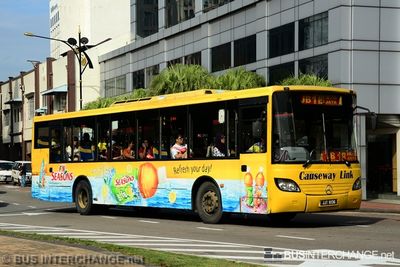 JJT8136 · 1B
