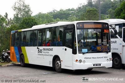 Bus IM05 - Causeway Link Iveco Delta (JMK7450)