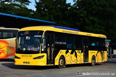 JNG8019 · LM1