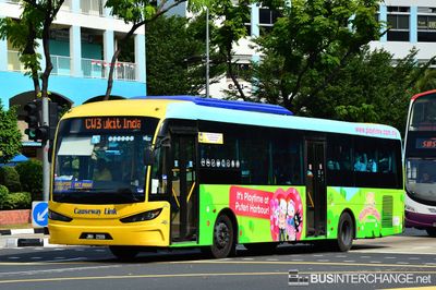 JNH2559 - CW3 - Causeway Link Sksbus SA12-300