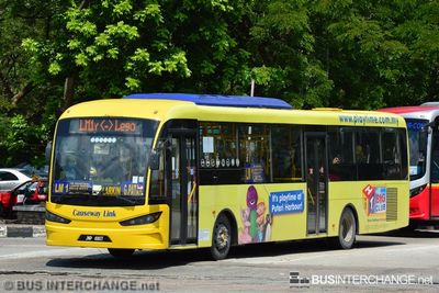 JNP4907 · LM1