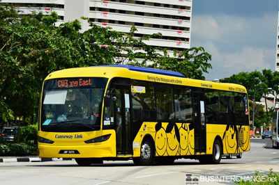 Bus CW3 - Causeway Link Sksbus SA12-300 (JNP5070)