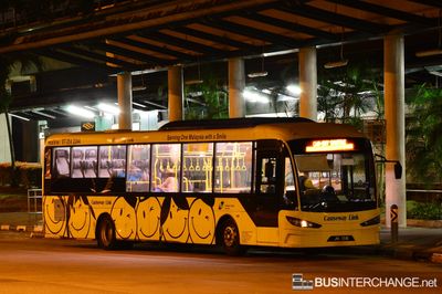 Causeway Link Sksbus SA12-300 (JPA7246) - CWA
