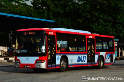 JPT6664