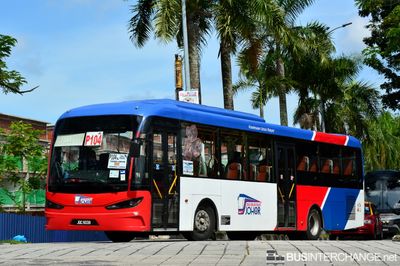 Bus P104 - Causeway Link Sksbus SA12-300 (JQC6039)