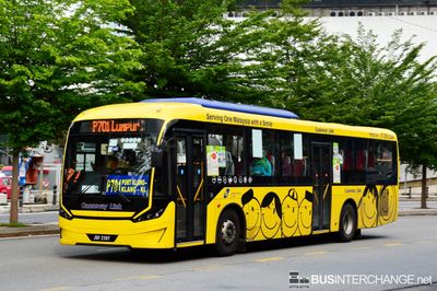 Bus P701 - Causeway Link Sksbus C6 (JQY2397)