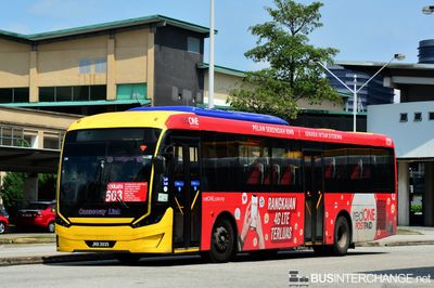 Bus 503 - Causeway Link Sksbus C6 (JRR3935)