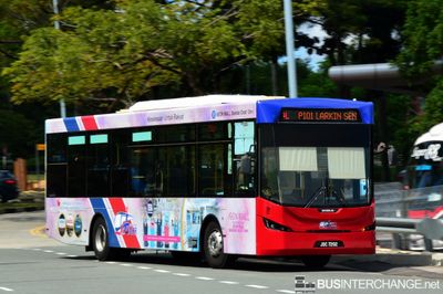 Bus P101 - Causeway Link Sksbus LEC-300H (JSC7202)