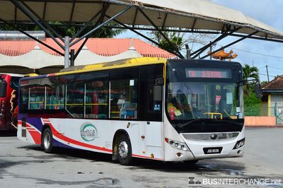 Bus T30 - Causeway Link Yutong ZK6126HG (JSD8539)