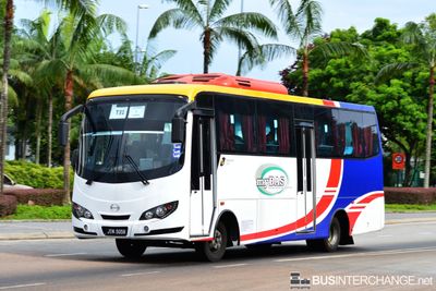 Bus T31 - Transit Link JB Hino XZU720R (JTM5058)