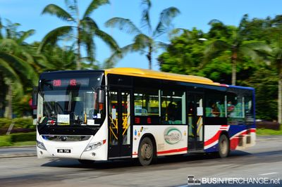Bus F100 - Causeway Link Yutong ZK6126HG (JVM7134)