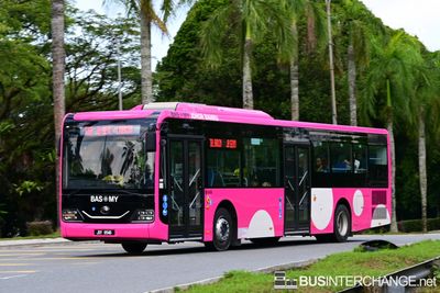 JXY9546 · T10