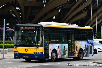 Higer KLQ6108GQ30AT