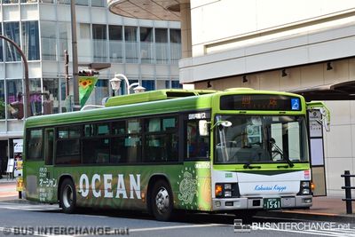 Ryukyu Bus Kotsu Isuzu Erga (???) - NOT IN SERVICE