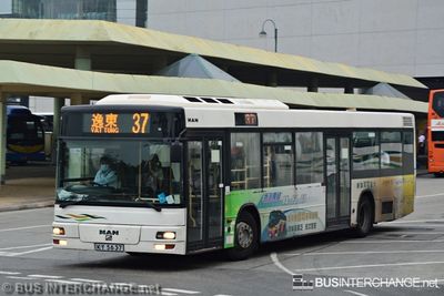 Bus 37 - New Lantao Bus (新大嶼山巴士有限公司) MAN NL263 (KY5637)