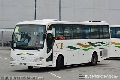 LR 965 - New Lantao Bus (新大嶼山巴士有限公司) MAN 18.310