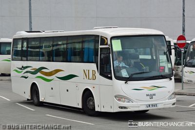 LR 965 - New Lantao Bus (新大嶼山巴士有限公司) MAN 18.310