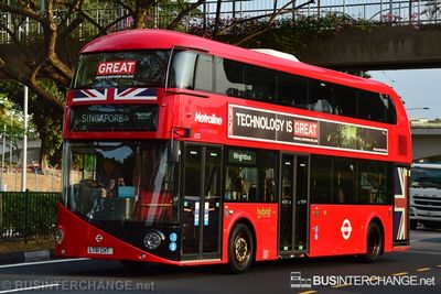 Special (LT61 CHT) - SG